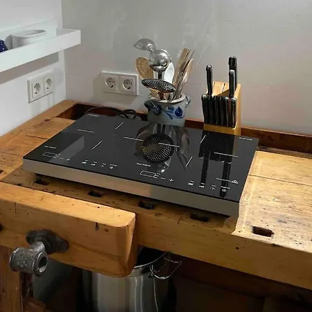 Schoene Mit Sonnenterrasse Und Kamin Apartman