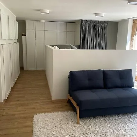 Apartment Schoene Mit Sonnenterrasse Und Kamin
